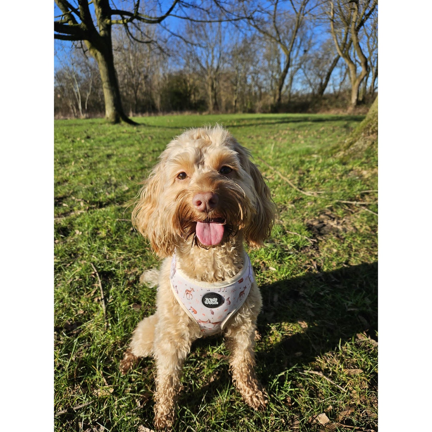 Forest Friends Dog Harness