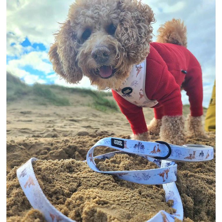 Wild at Heart Harness Set