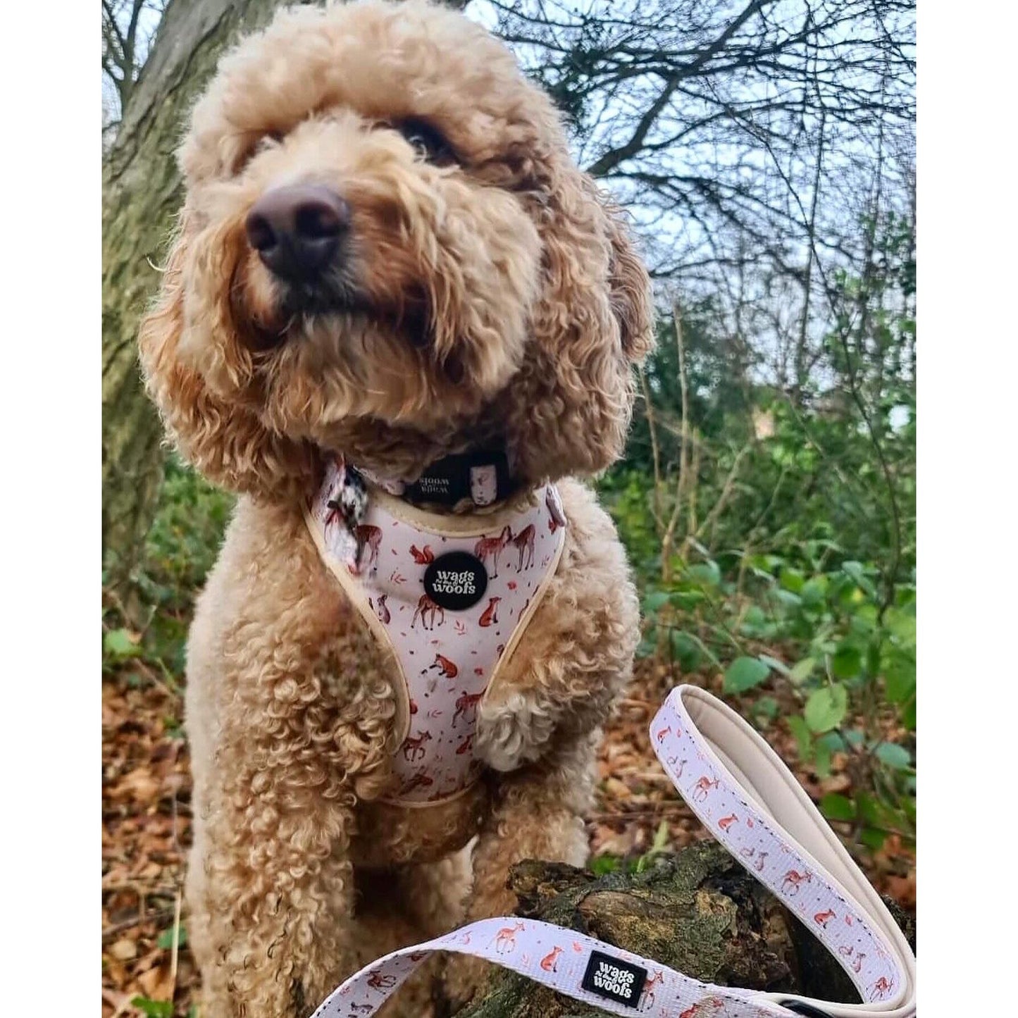 Forest Friends Harness Set