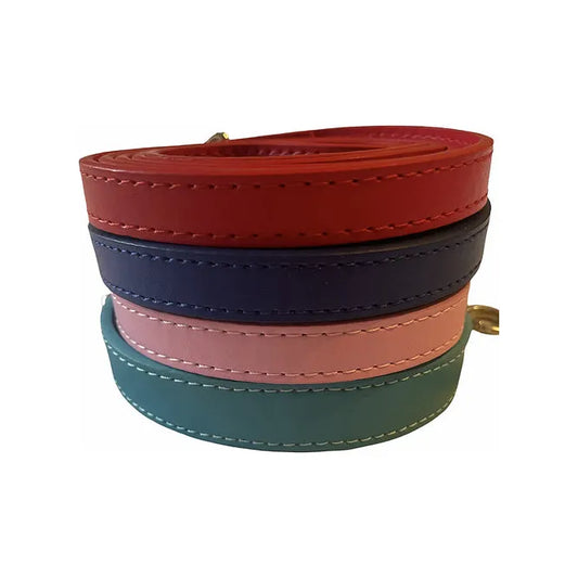 Leather Dog Lead