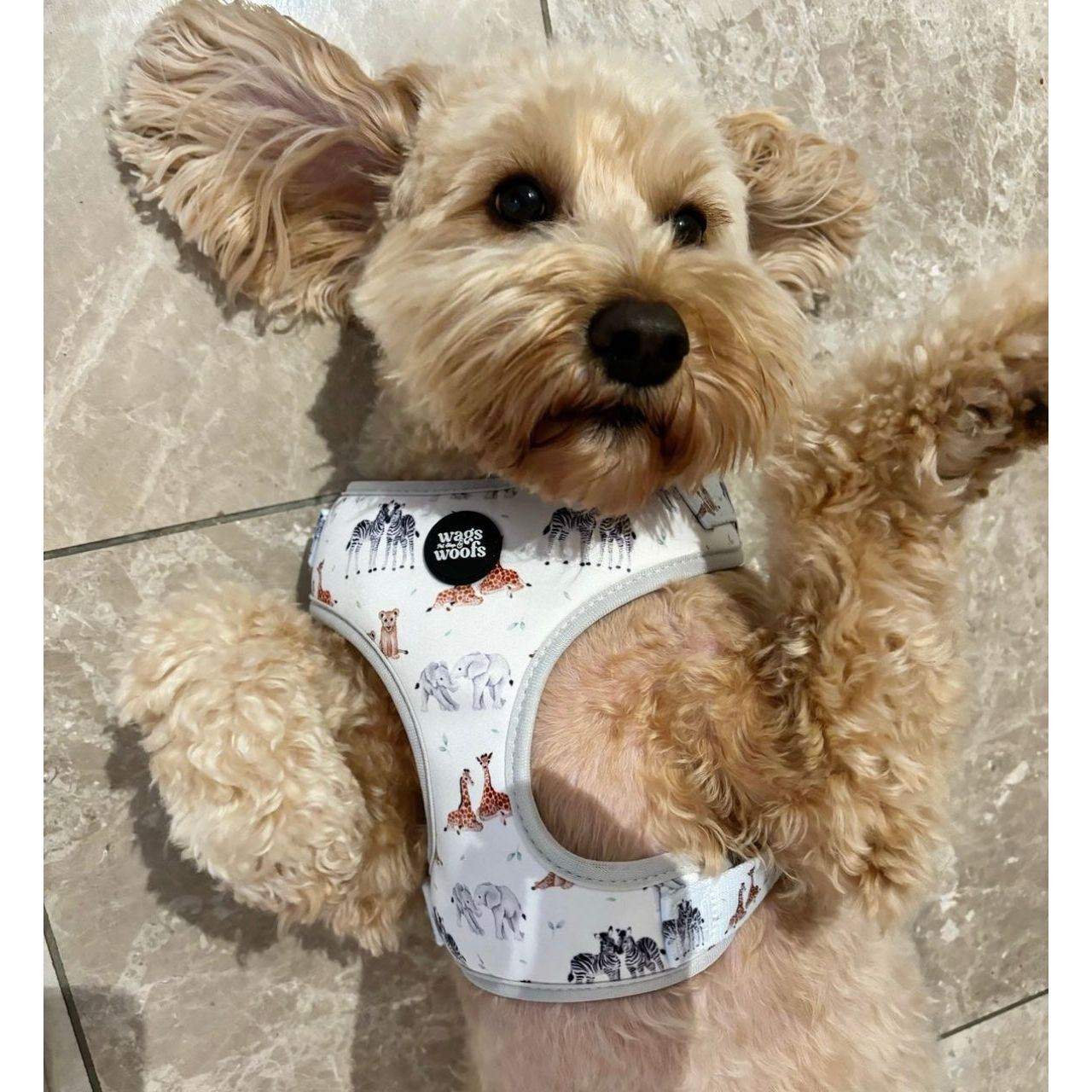 Wild at Heart Harness Set