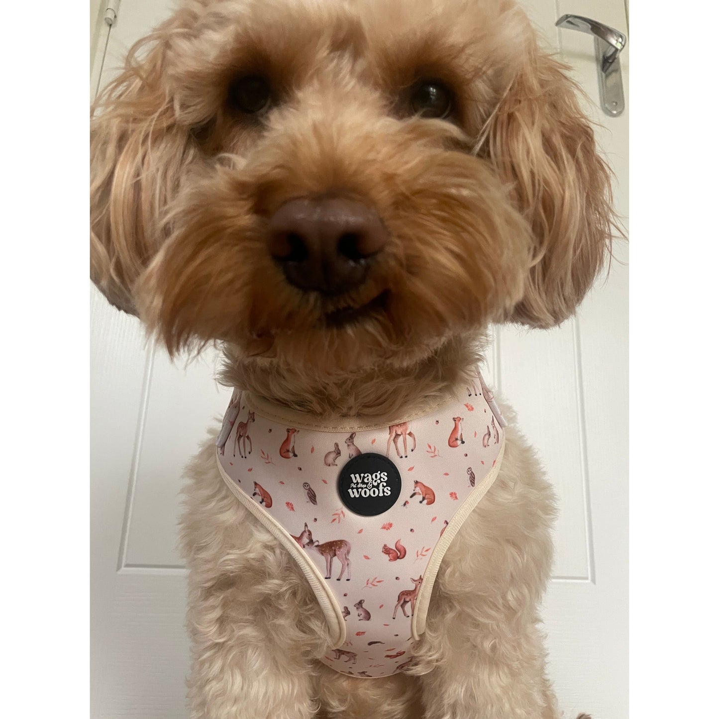 Forest Friends Dog Harness