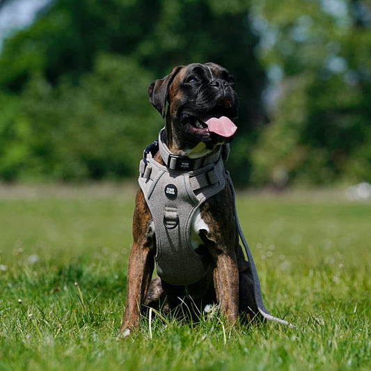 Brown Tweed Walking Set