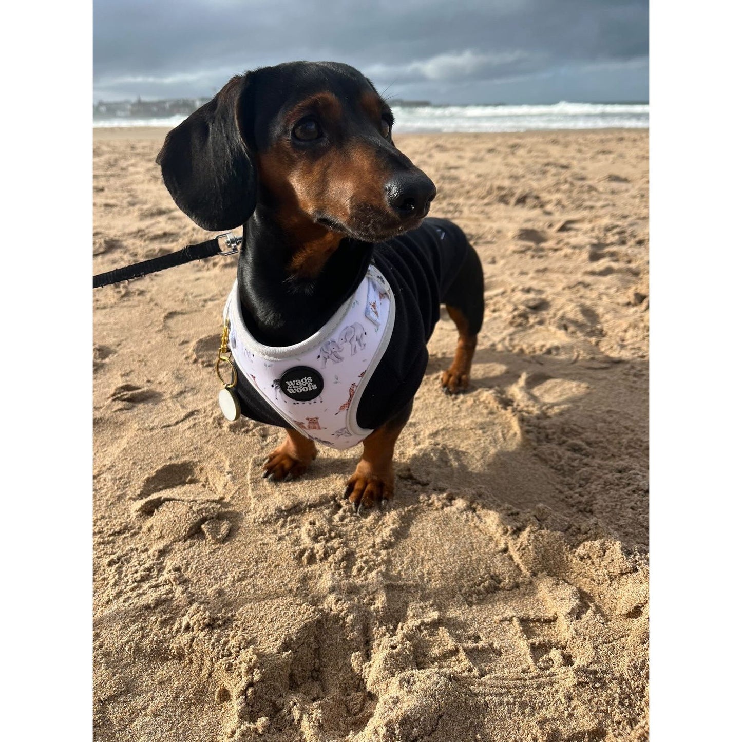 Wild at Heart Harness