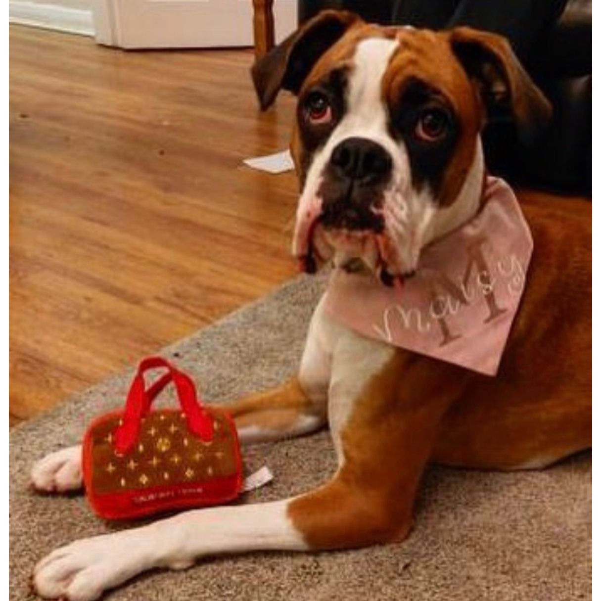 Chewy Vuitton Plush