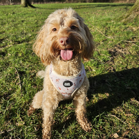 Forest Friends Dog Harness