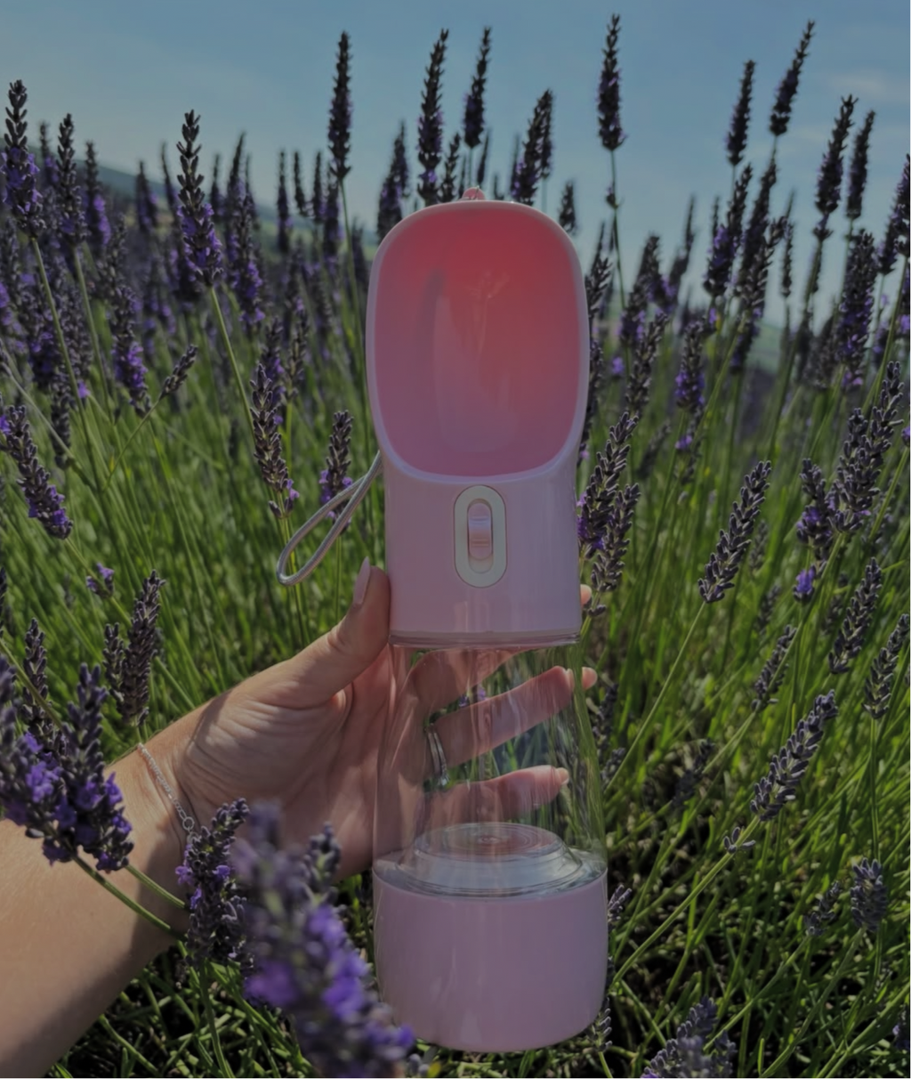 Water and Treat Bottle