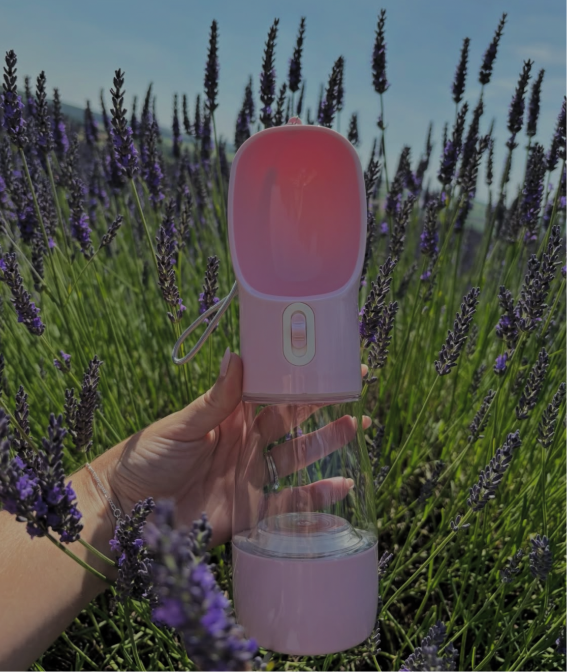 Water and Treat Bottle