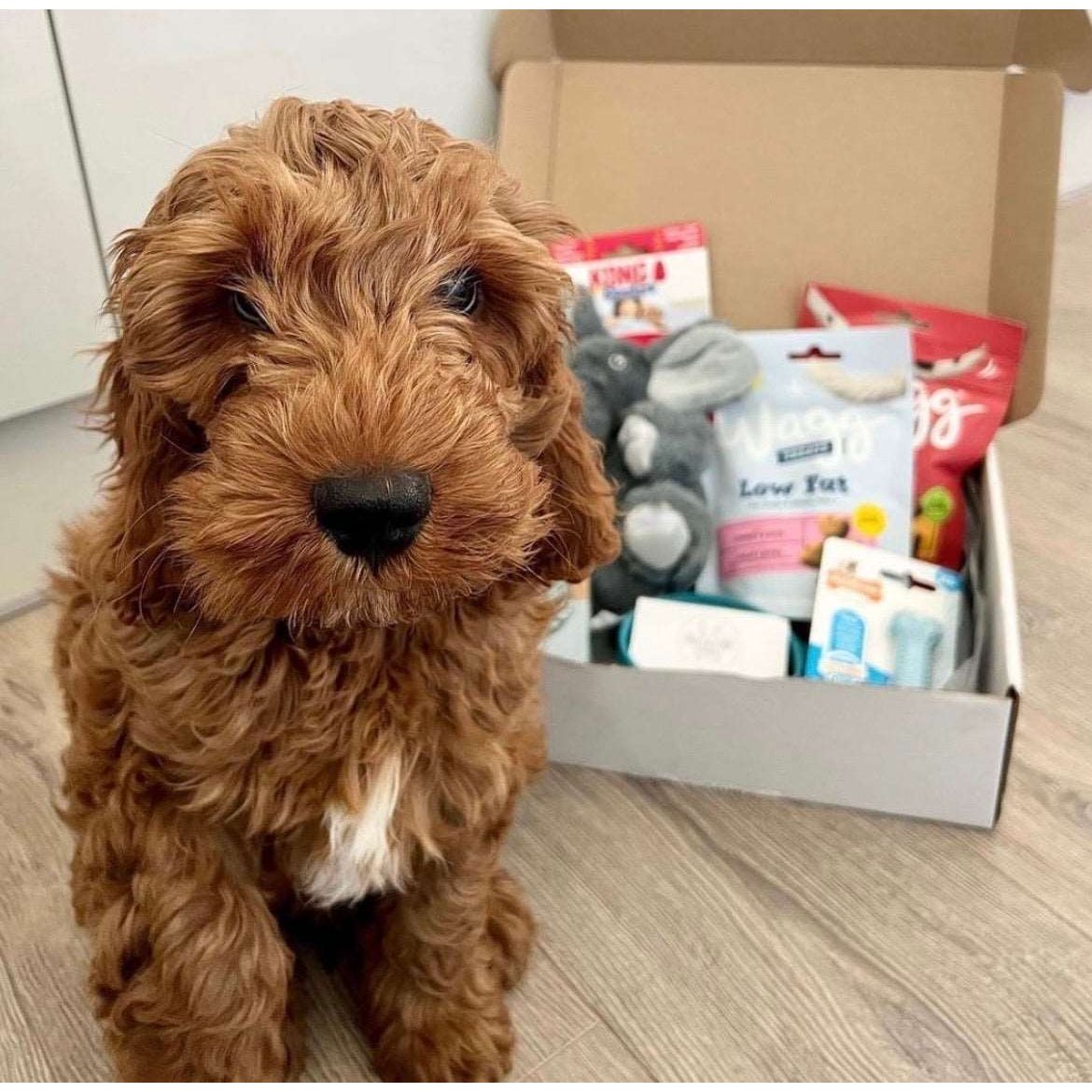 Puppy Pack