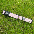 Pink Tweed Collar