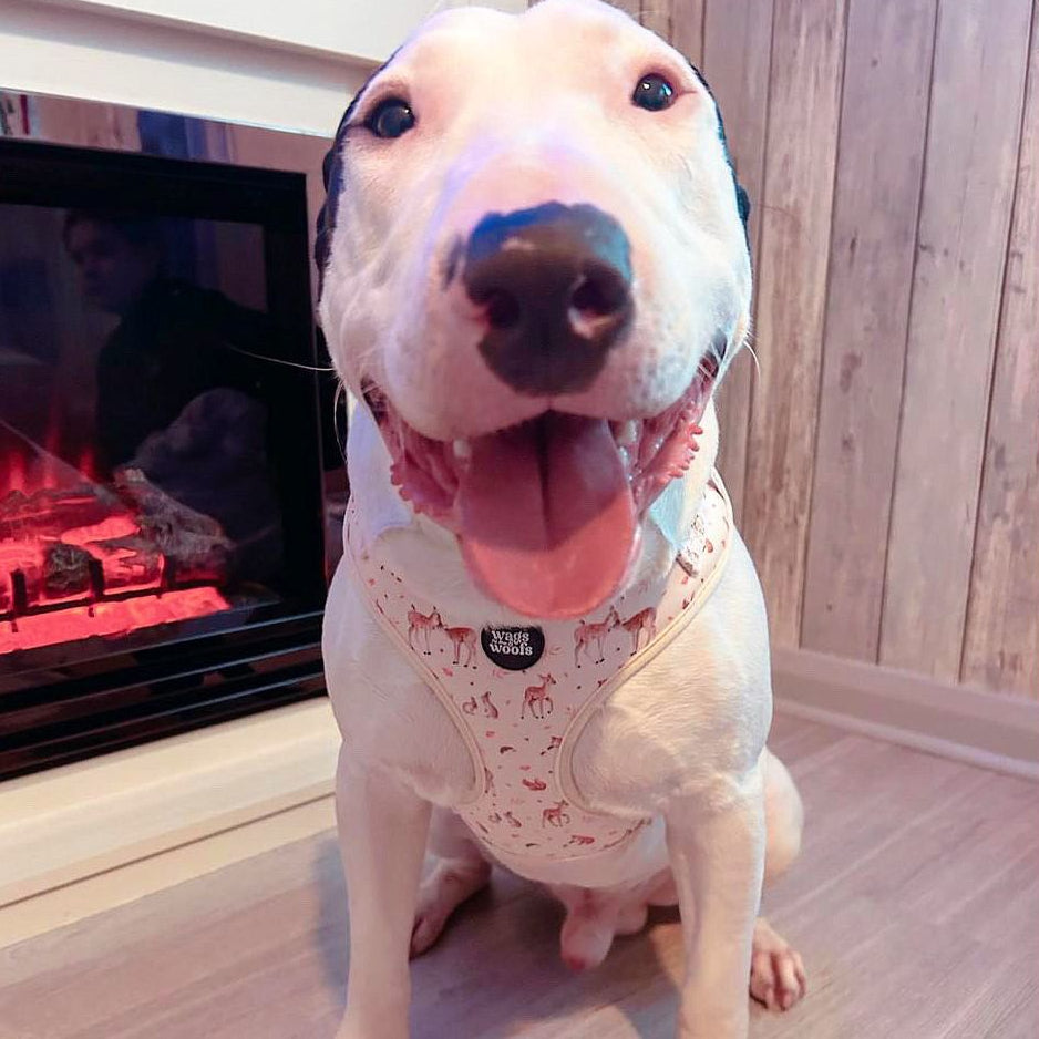 Forest Friends Dog Harness