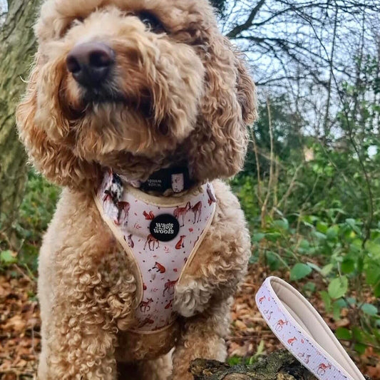 Forest Friends Harness Set