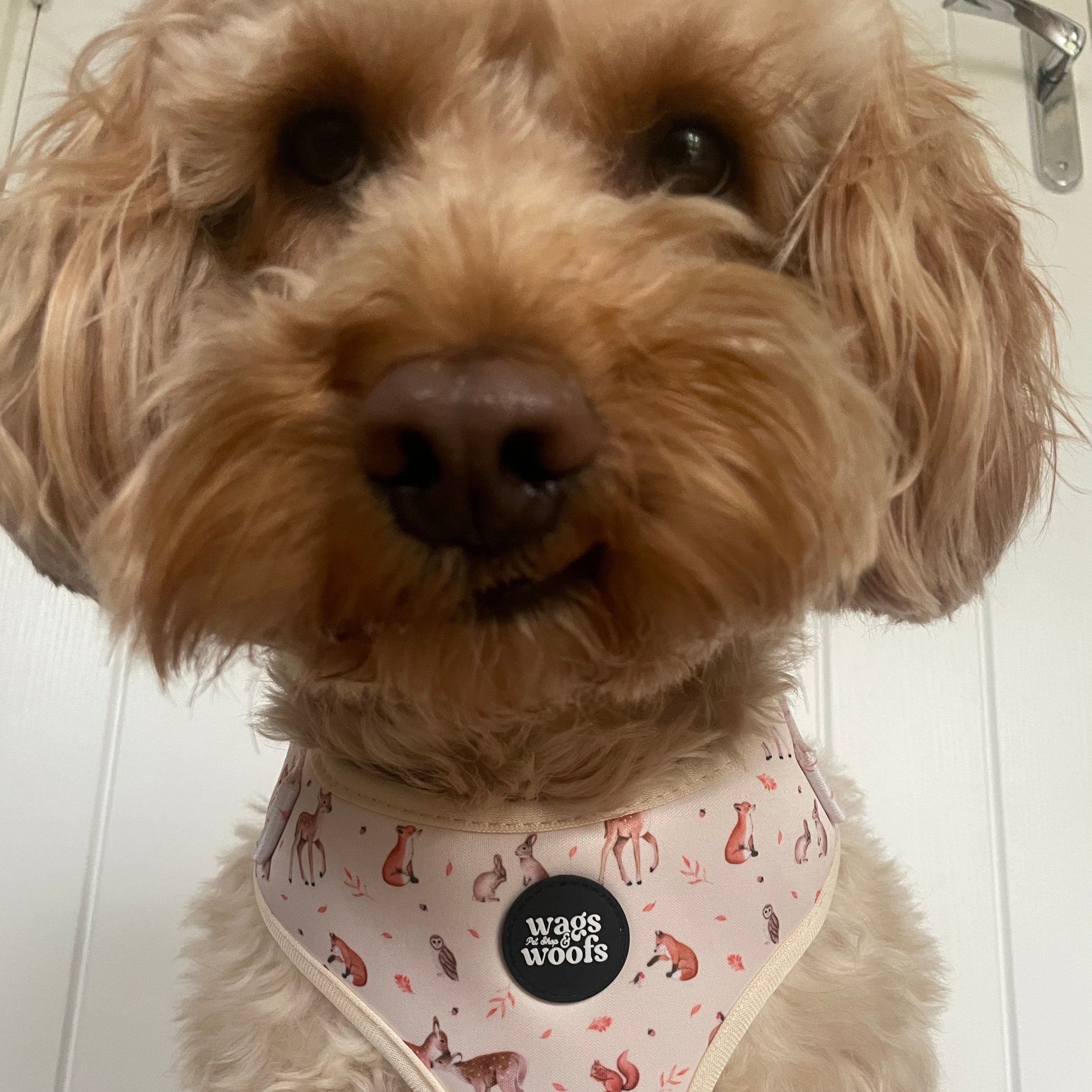 Forest Friends Dog Harness