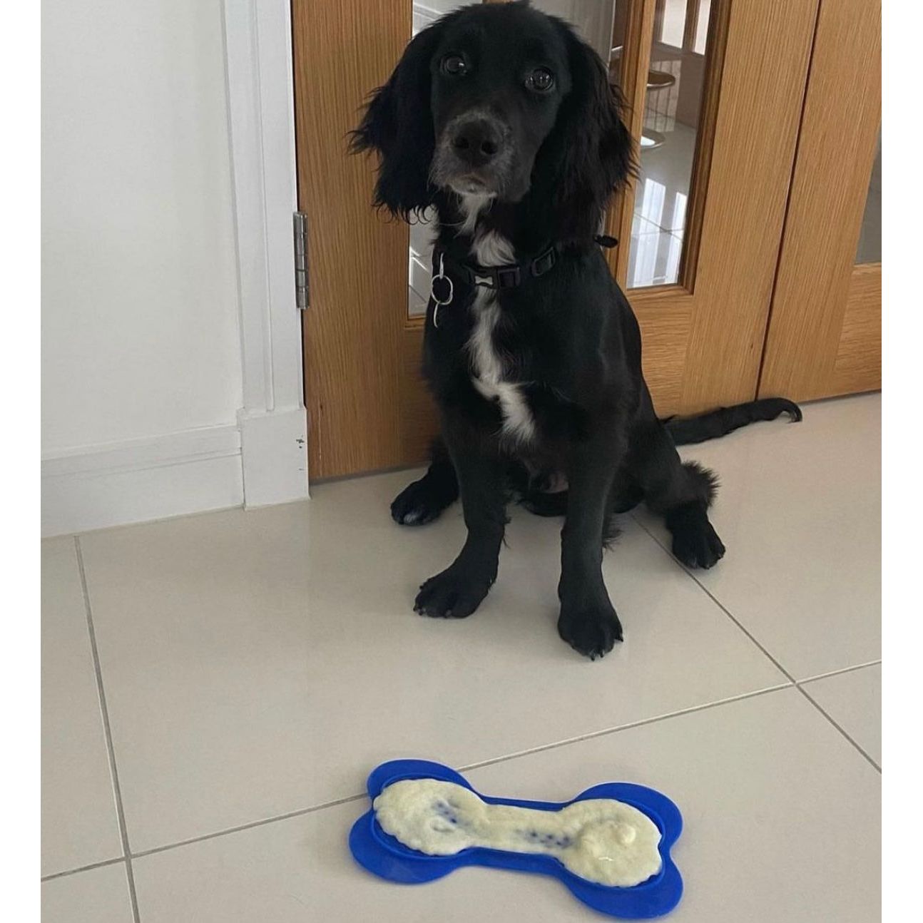 Bone Licky Mat