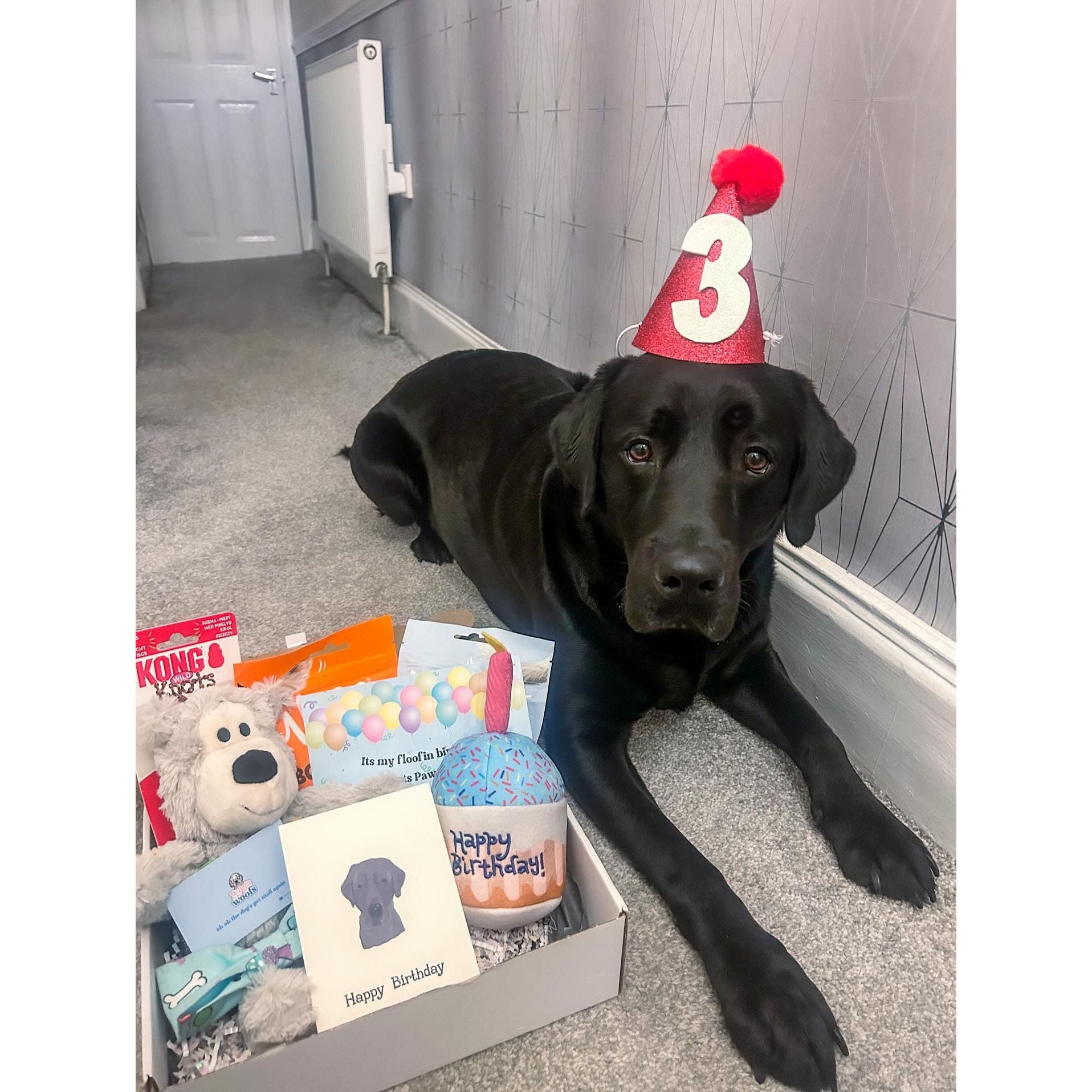 Birthday Box