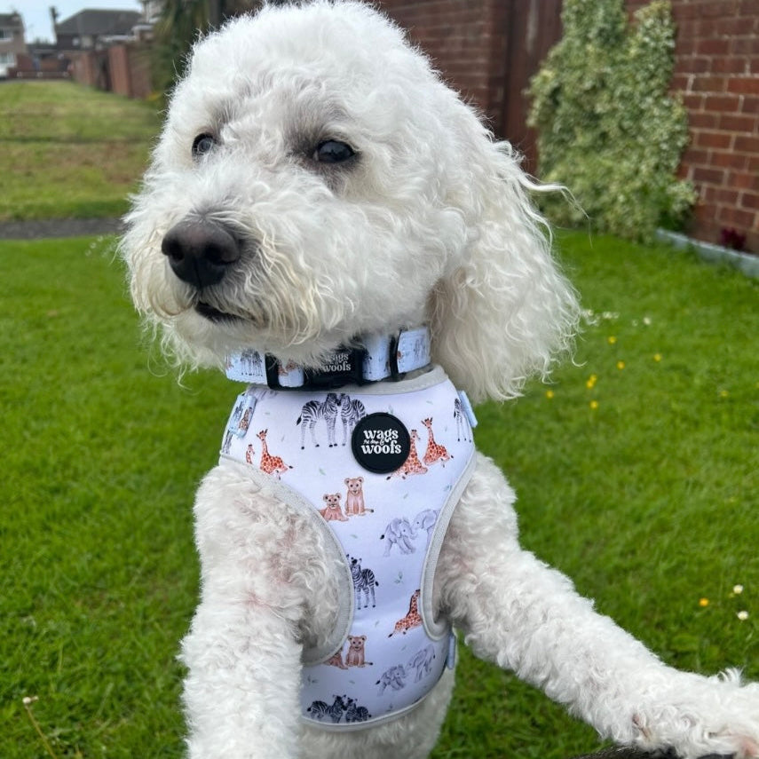 Wild at Heart Harness Set