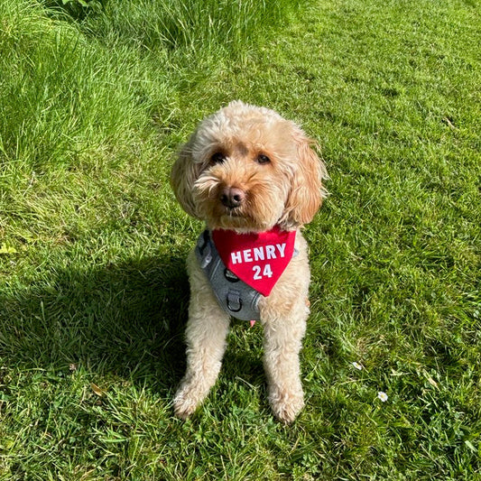 England World Cup Bandana
