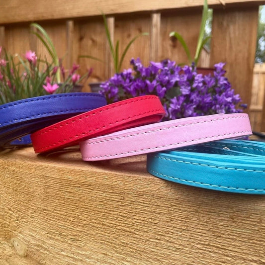 Leather Dog Collar