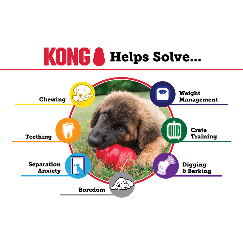 KONG Puppy