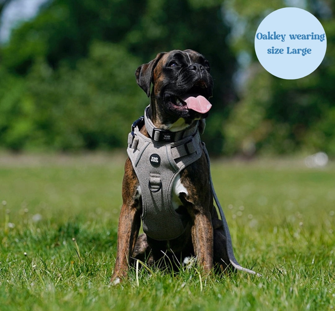 Brown Tweed Adjustable Harness