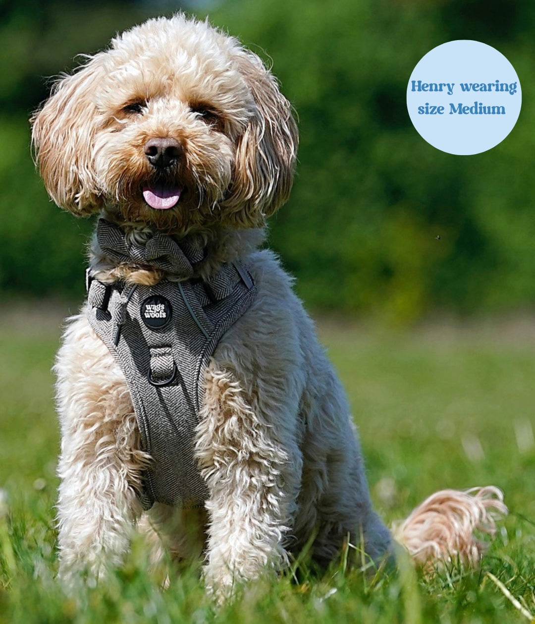 Brown Tweed Adjustable Harness