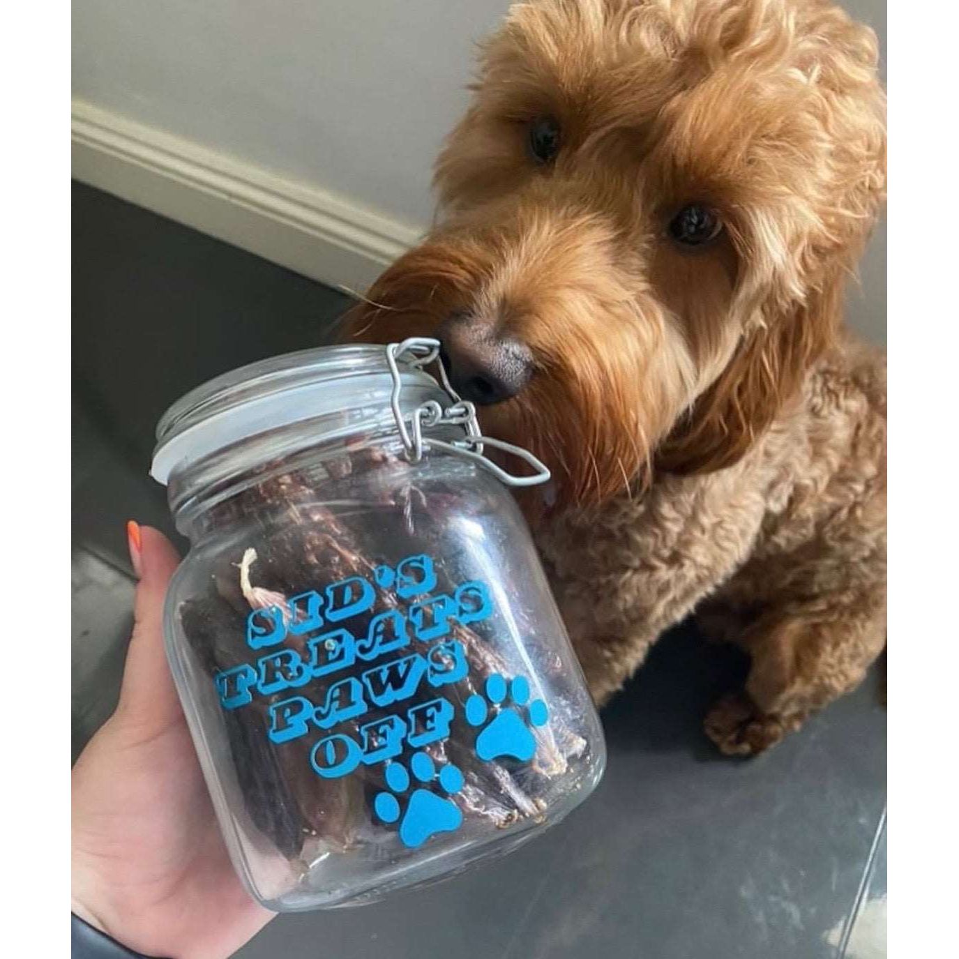 Customisable Treat Jar